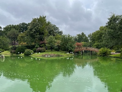 View of lake at Bontanical Garden